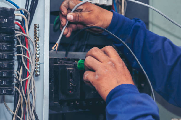 Best Residential Electrician Services  in Freer, TX